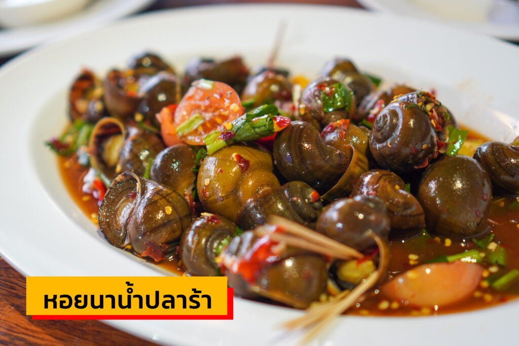 หอยนาน้ำปลาร้า อีสานลำเพลิน เตาปูน กทม.