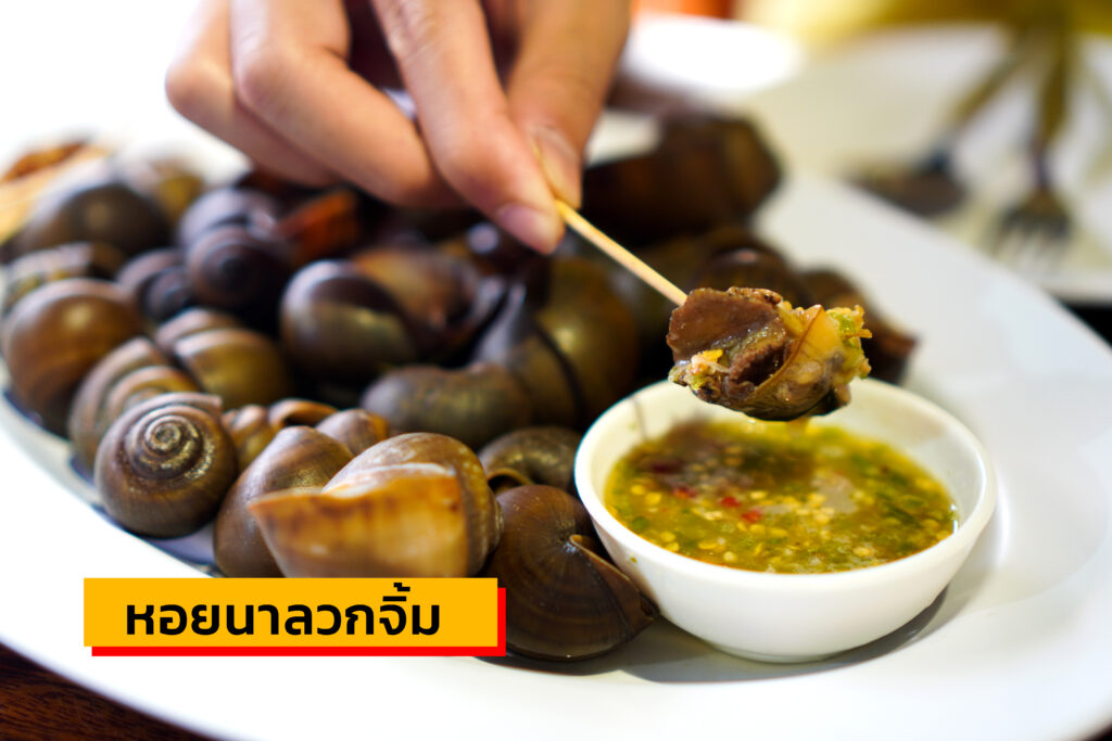 หอยนาลวกจิ้ม อีสานลำเพลิน เตาปูน กทม.